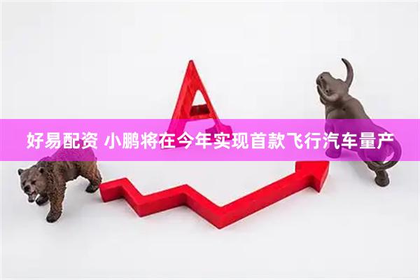 好易配资 小鹏将在今年实现首款飞行汽车量产